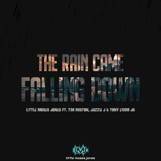 THE RAIN CAME FALLING DOWN (SINGLE)